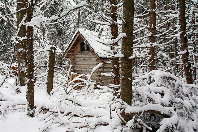 The Trapper's Cabin